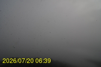 Img20260720_063933.jpg