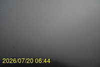 Img20260720_064433.jpg