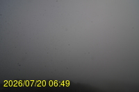 Img20260720_064933.jpg