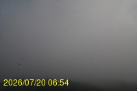 Img20260720_065433.jpg