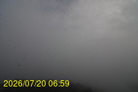Img20260720_065933.jpg
