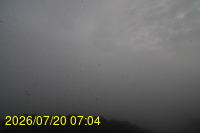 Img20260720_070433.jpg