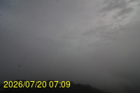 Img20260720_070933.jpg