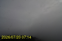 Img20260720_071433.jpg