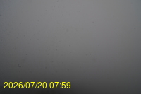 Img20260720_075933.jpg