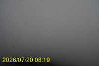 Img20260720_081933.jpg