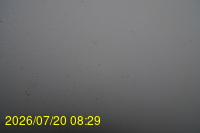 Img20260720_082933.jpg