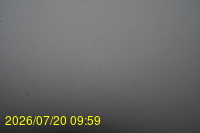 Img20260720_095934.jpg