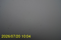 Img20260720_100434.jpg