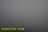 Img20260720_103434.jpg