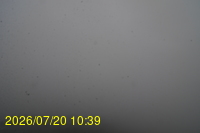 Img20260720_103934.jpg
