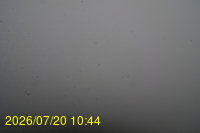Img20260720_104434.jpg