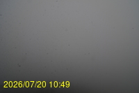 Img20260720_104934.jpg