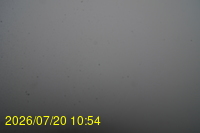 Img20260720_105434.jpg