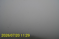 Img20260720_112934.jpg