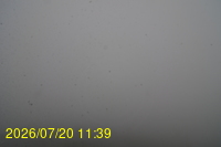 Img20260720_113934.jpg