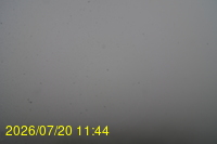 Img20260720_114434.jpg