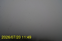 Img20260720_114934.jpg