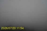 Img20260720_115434.jpg
