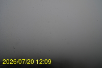 Img20260720_120934.jpg