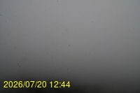 Img20260720_124434.jpg