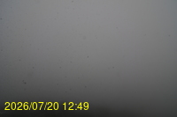 Img20260720_124934.jpg