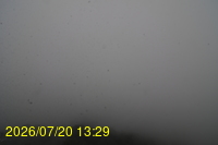Img20260720_132934.jpg
