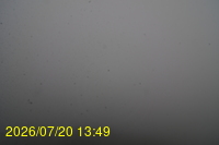 Img20260720_134934.jpg