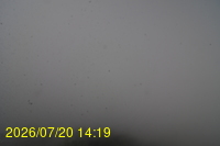Img20260720_141934.jpg