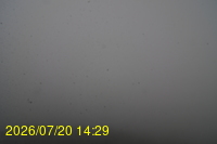 Img20260720_142934.jpg
