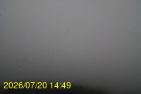 Img20260720_144934.jpg