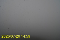 Img20260720_145934.jpg