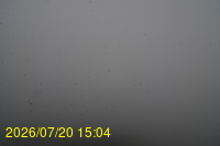 Img20260720_150434.jpg