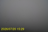 Img20260720_152935.jpg