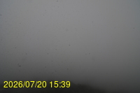 Img20260720_153935.jpg