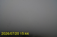 Img20260720_154435.jpg