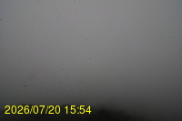 Img20260720_155435.jpg