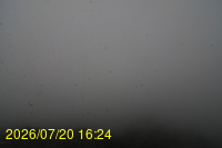 Img20260720_162435.jpg