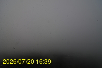 Img20260720_163935.jpg