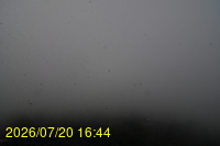 Img20260720_164435.jpg