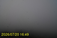 Img20260720_164935.jpg