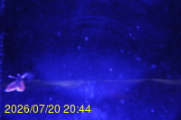 Img20260720_204436.jpg