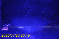 Img20260720_204936.jpg