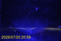 Img20260720_205936.jpg