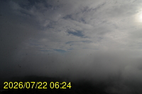 Img20260722_062441.jpg