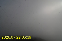Img20260722_063942.jpg