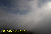 Img20260722_064442.jpg