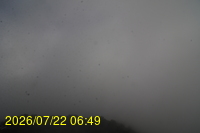 Img20260722_064941.jpg