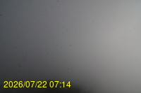 Img20260722_071442.jpg