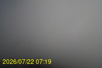 Img20260722_071942.jpg